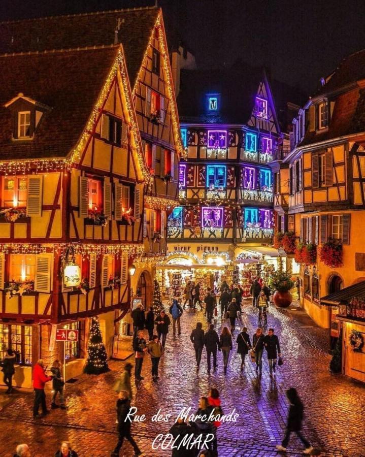 Gite Cote Cour Colmar Exteriör bild